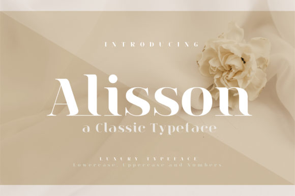 Alisson: A Refined Serif Font for Digital Branding