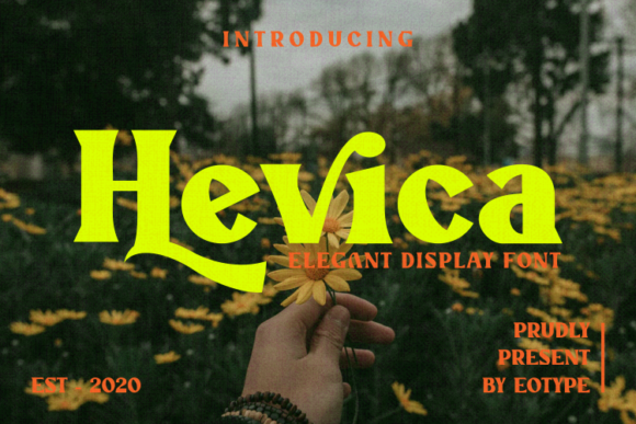 Hevica: A Serif Font That Makes Your Brand Feel Thoughtful & Timeless