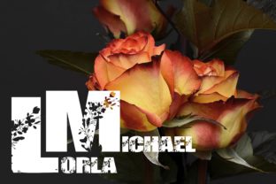 Lorla Michael: A Delicate Script for Editorial Elegance