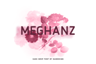 Meaghanz: The Font That Elevates Your Brand’s Visual Voice