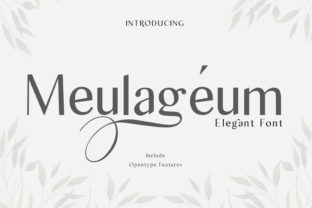 Meulageum: The Font That Elevates Your Campaigns