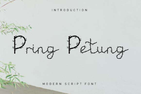 Pring Petung: A Romantic Decorative Font That Elevates Your Brand
